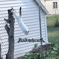 tear shed (Prod. 16 fall)