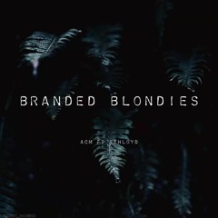 BRANDED BLONDIES (feat. Sehloyd)