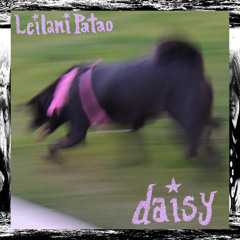 Leilani Patao - Red Hair Dye