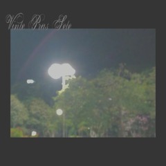 Vinte Pras 7