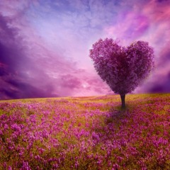SPRING HEART
