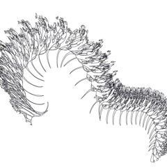 Live de décembre à ZK, extrait