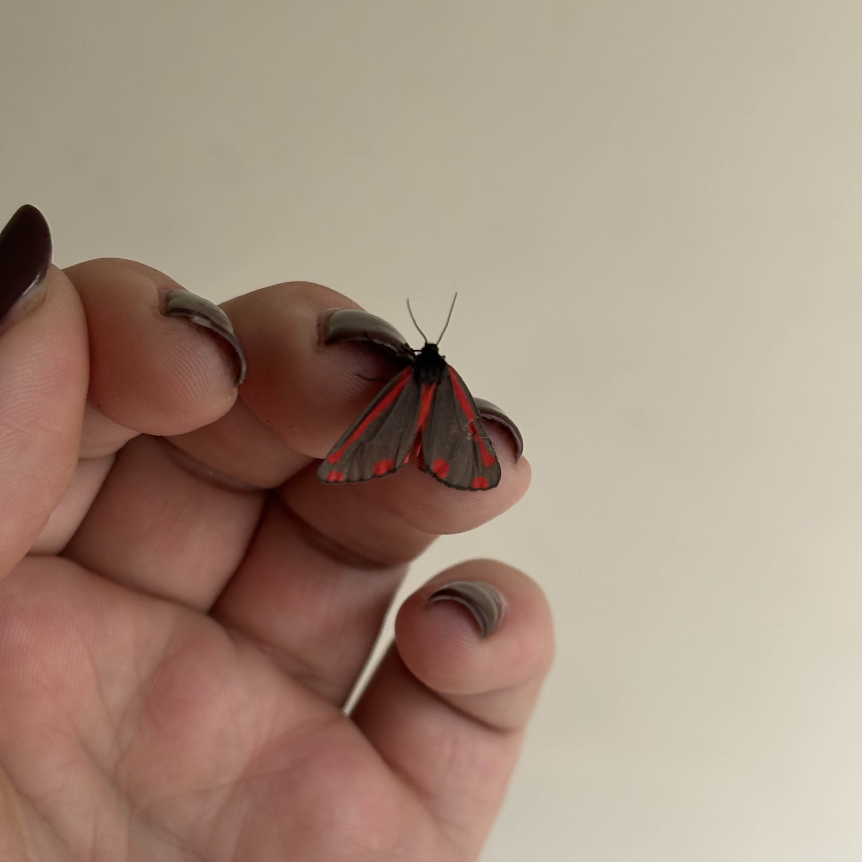 bug.core #7