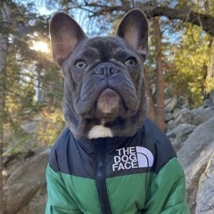 寒くなってきたからダウン着ようタイプビート