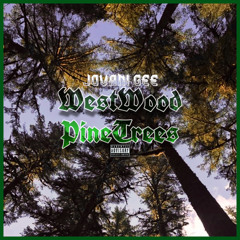 WestWood & PineTrees