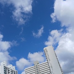 무언가의 정신 나간 밈들