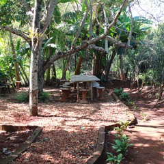 22.07.2022 - Cap. XII - Amai os Vossos Inimigos - Pagar o Mal com o Bem (5)