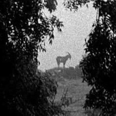 Carrickatuke Is A Grave