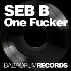 Dj Seb B &  Dj Ghost -  One Fucker