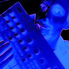 TekkBird - Levan Polker Hardtekk (Tekk'n'Roll-Mix)