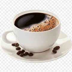 A night spent under the dark mountain pine shrub