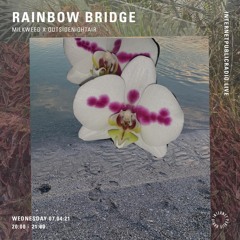 rainbow bridge w/ outsidenightair 04.21