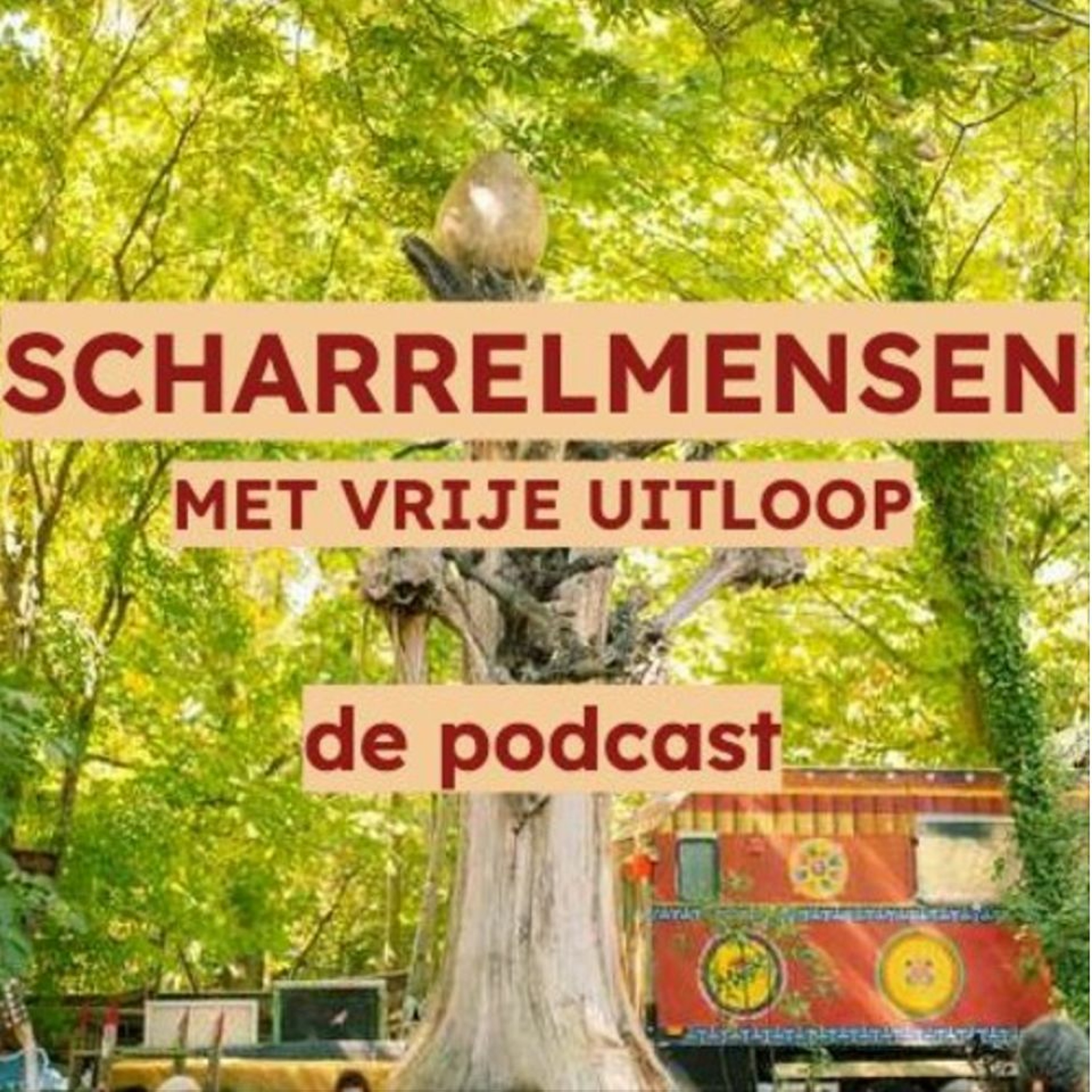Oase van Verwondering - Ruigoord