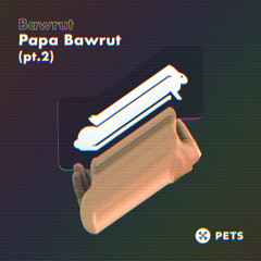 Bawrut - La Notte (Hammer Remix)  [Pets Recordings]