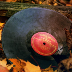 WALLA_Autumn Vibes_2025