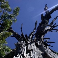 The FOUR NESTED REALITIES & the GROUND OF TRUTH, a dialogue tape…