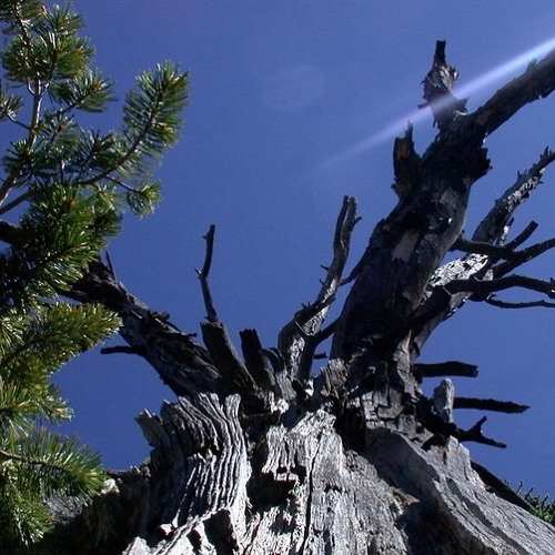 The FOUR NESTED REALITIES & the GROUND OF TRUTH, a dialogue tape…