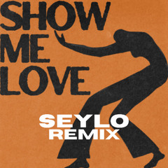 WizTheMc - Show Me Love (Seylo Remix)