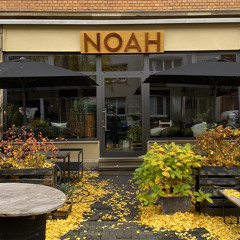 Techno & Pizza: NOAH