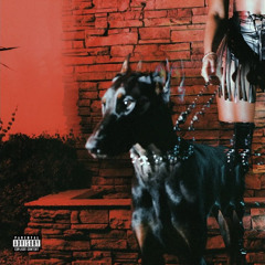 MUTT (Jersey Club)