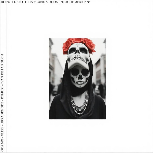 PREMIERE: Roswell Brothers – Noche Mexican (Arkademode Remix) – Logical Records