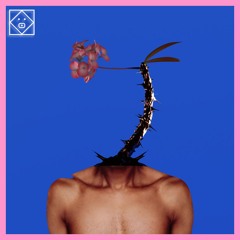 hypersomniac