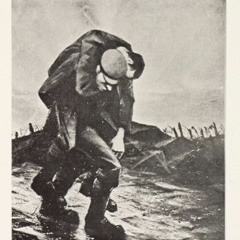 Hopeless War