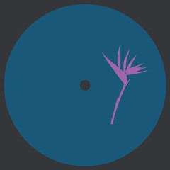 Various Artists - V.A. Compilation 4 // PRP019