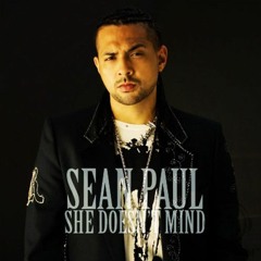 Sean Paul - She Doesn't Mind - DJ EMIX REMIX | [HARDTEKK]