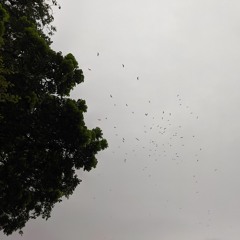 Janena keo - Runaway Original Bangla Version