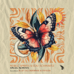 Noble Spirits & Edu Schwartz - Special Moments (Hypsidia Remix) [Harabe Lab]