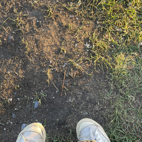 face - клетка (kiryuhaa)