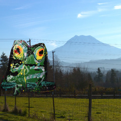 a quiet little happy where i took a drive and saw the mountain