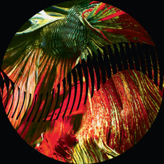 Premiere: Volen - Pure Energy [Rhizome Records]
