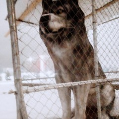 MC Nigel REC.it  al 11111 422_2.mp3