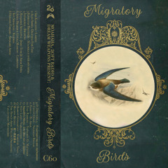 Dream Weapons: Migratory Birds @ 20ft Radio - 12/10/2021