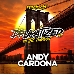 DRUMATIZED ON THE HUDSON (PROMO-MIX)