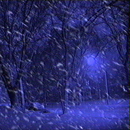 And All Through The House