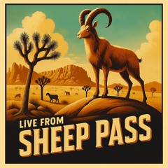 Live From Sheep Pass
