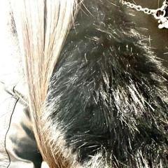 alosaken - from the heart [Saveani FM Exclusive]