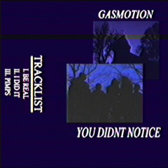 YOU DIDN'T NOTICE [FULL EP]
