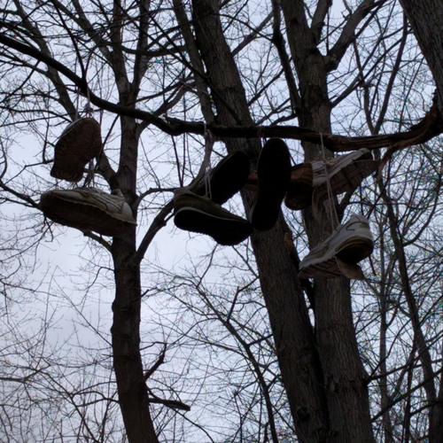 the woods (did we ever exist?)