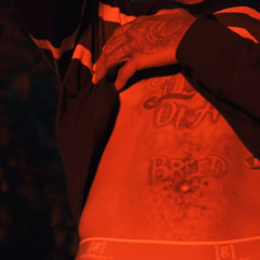 YOGI [AbyssExclusive]