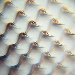 PREMIERE: Cherrystones - Uhuru Glue [Emotional Response]