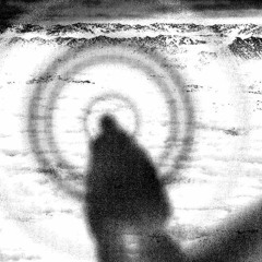 (pitch up x1.1) Lady radiator - Box Turtle, Magnificent Isn't She