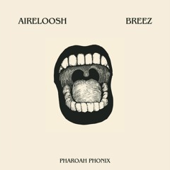 Breez, AIRELOOSH - Que Hacemos (Original Mix)