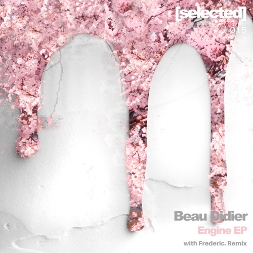 Premiere: Beau Didier - Timeless [SELECTED015]