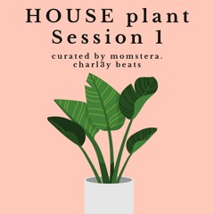 HOUSE plant Session 1