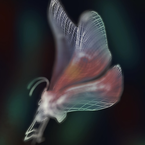 x3butterfly foundation FM mix - live from Le Bain