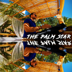 The Palm Star Ibiza Mix 8